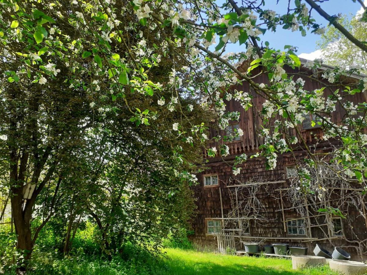 Ferienwohnung Kreiller Johanniskirchen Экстерьер фото